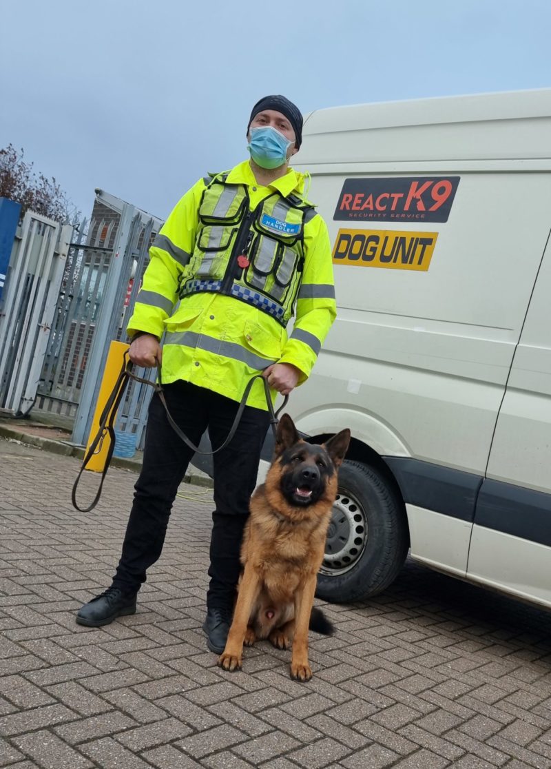 what qualifications do you need to be a police dog handler