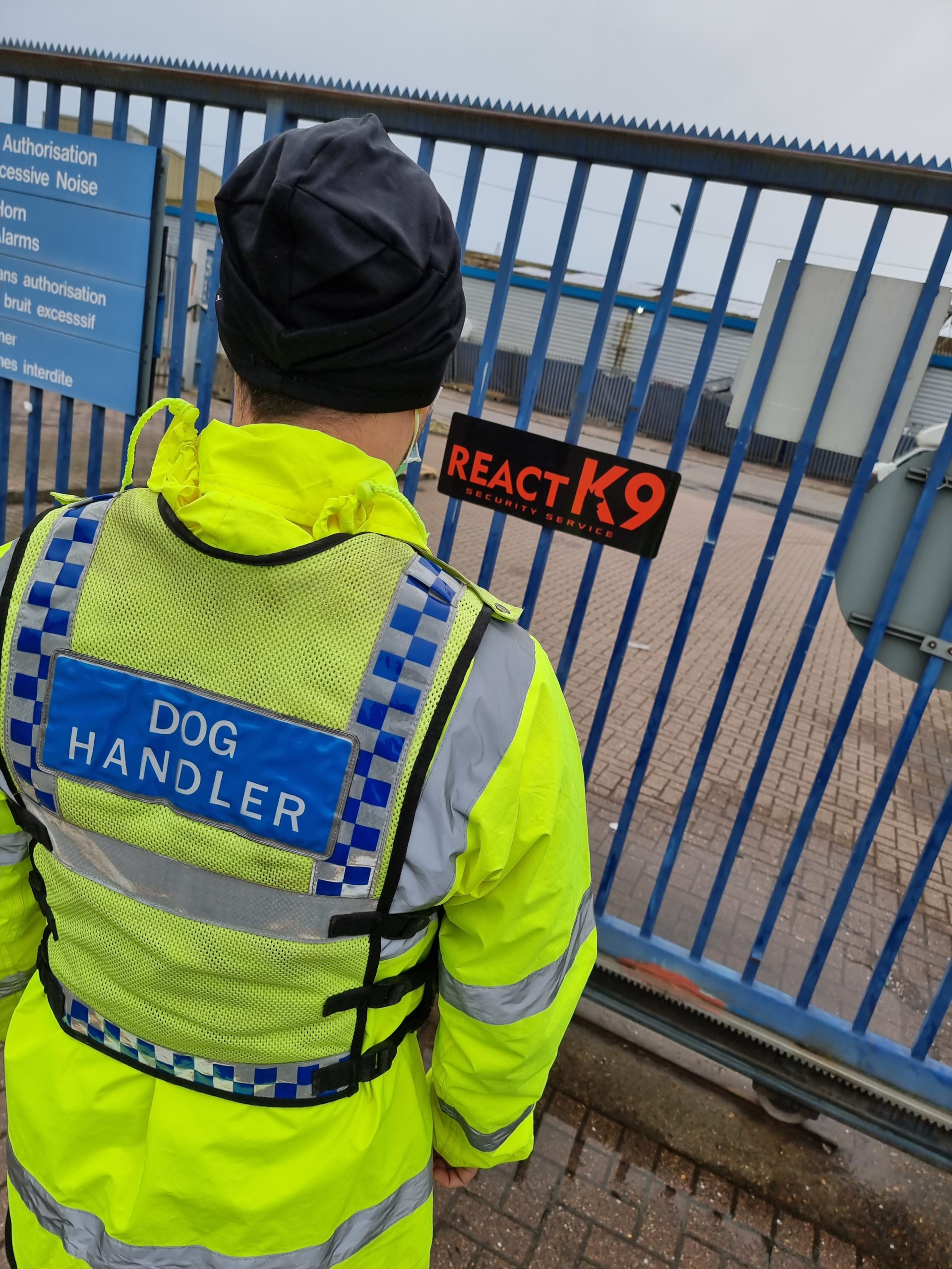 what qualifications do you need to be a dog handler